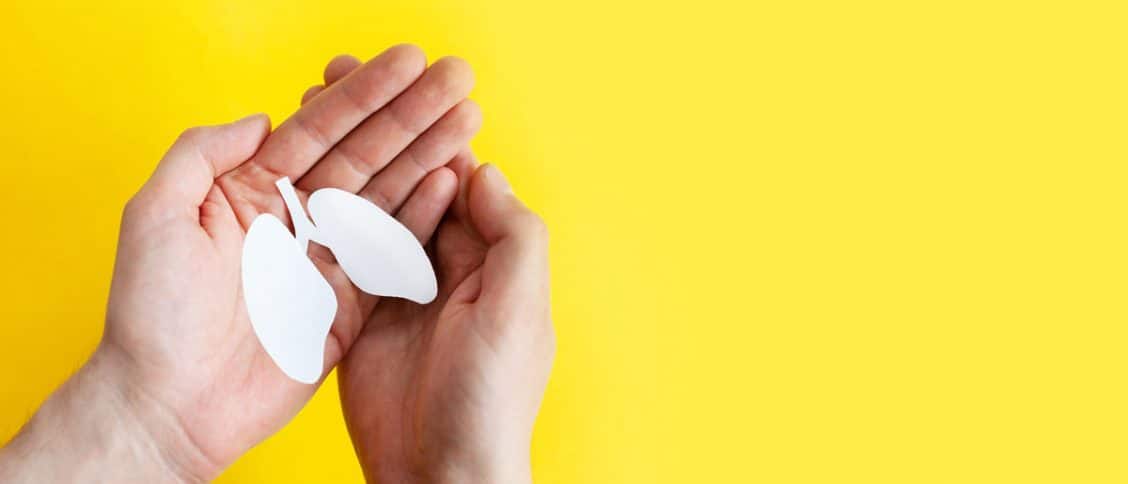 mise en place d'un don d'organes