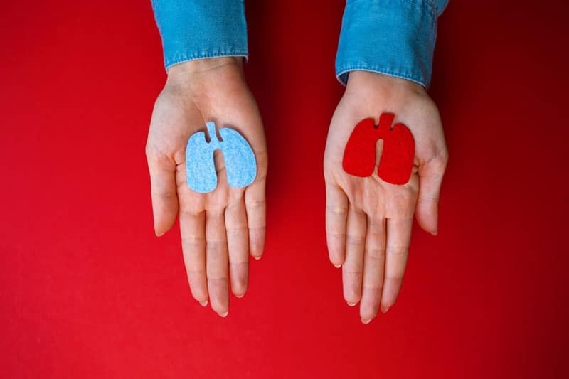 greffe d'un organe sain