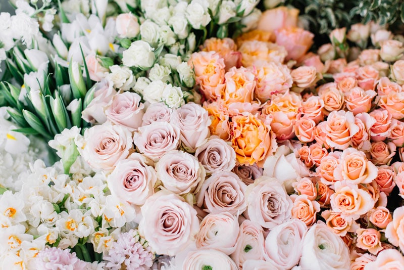 fleurs de toutes les couleurs