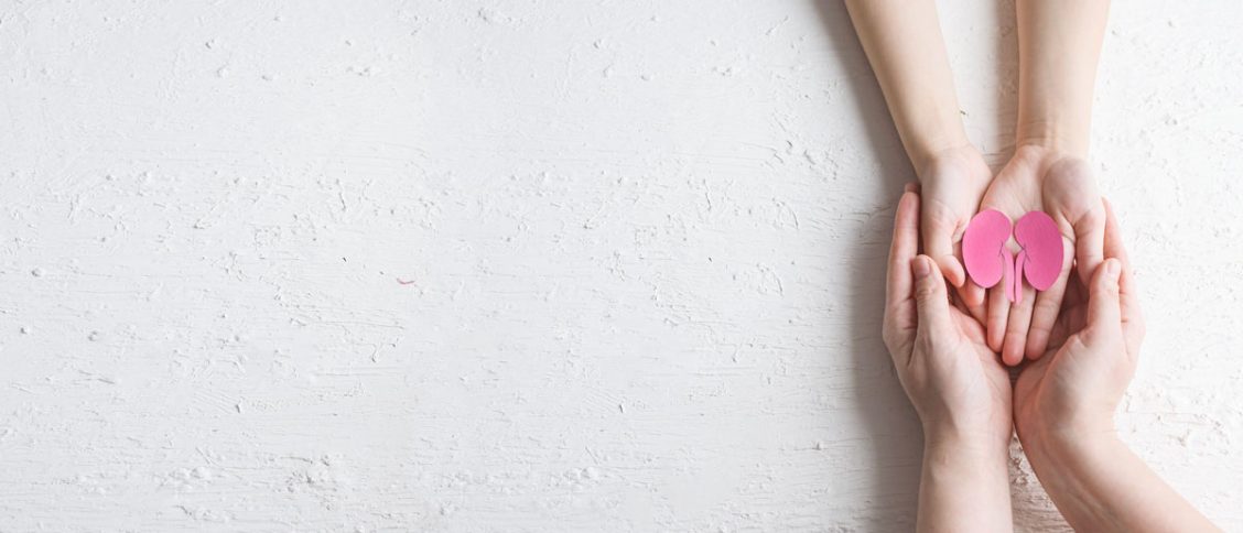 deux personnes qui tiennent un organe en papier