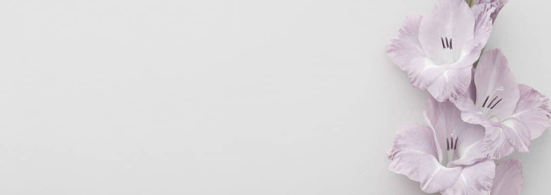 Fleurs déposées sur un fond blanc