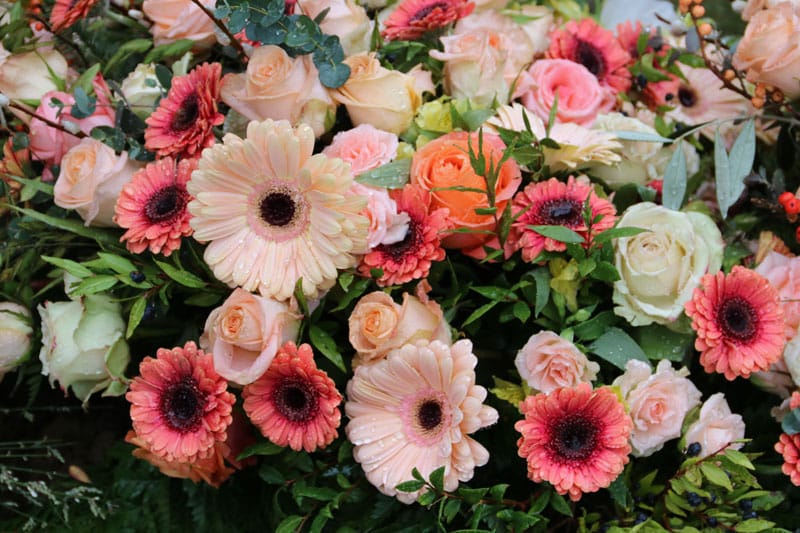 plusieurs types et couleurs de fleurs de deuil